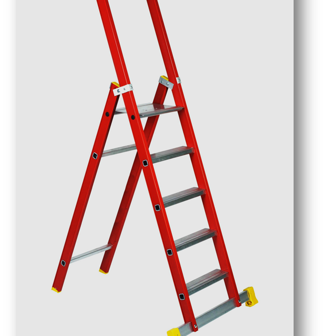 Escalera profesional